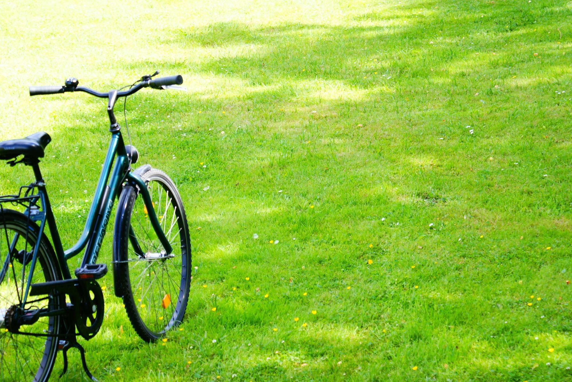 Das Schmoeckwitz Berlin Extérieur photo
